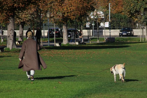 Nos devoirs et responsabilités envers la protection des animaux